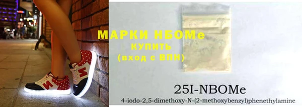 прущая мука Вяземский