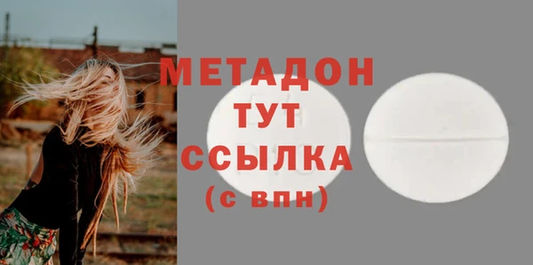 индика Вязьма